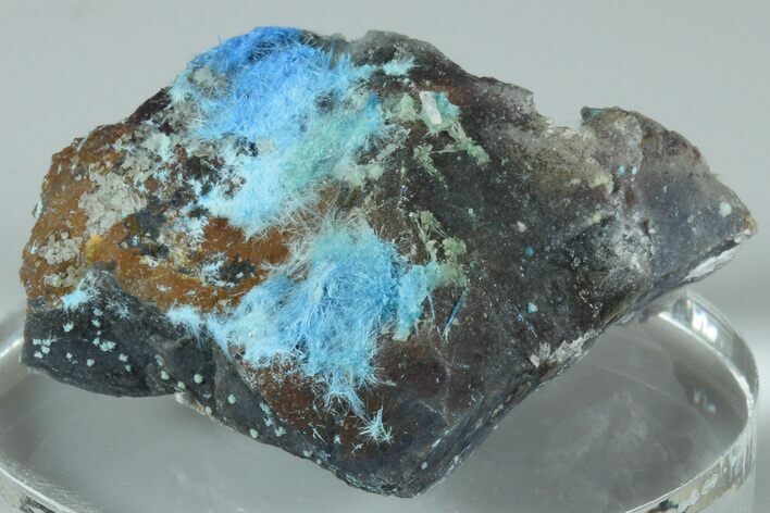 Vibrant Blue, Cyanotrichite on Cubic Fluorite - China #186008